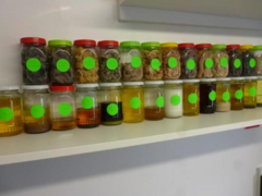 Presa ulei verificare acid oleic